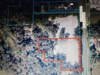 More details for 0 NE 175th St Rd, Citra, FL - Land for Lease