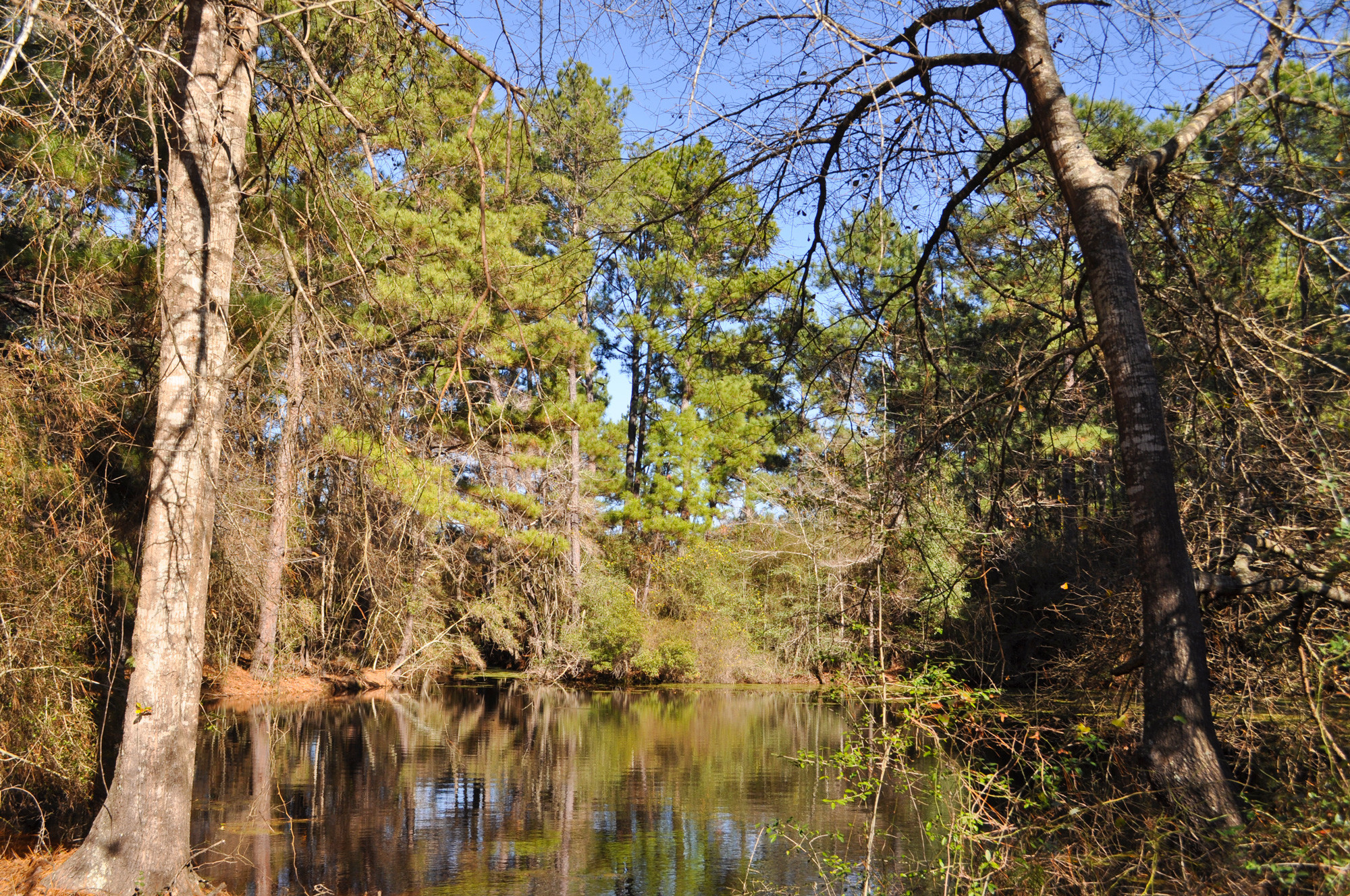 A T FUSSELL Rd, Groveton, TX for sale Other- Image 1 of 1