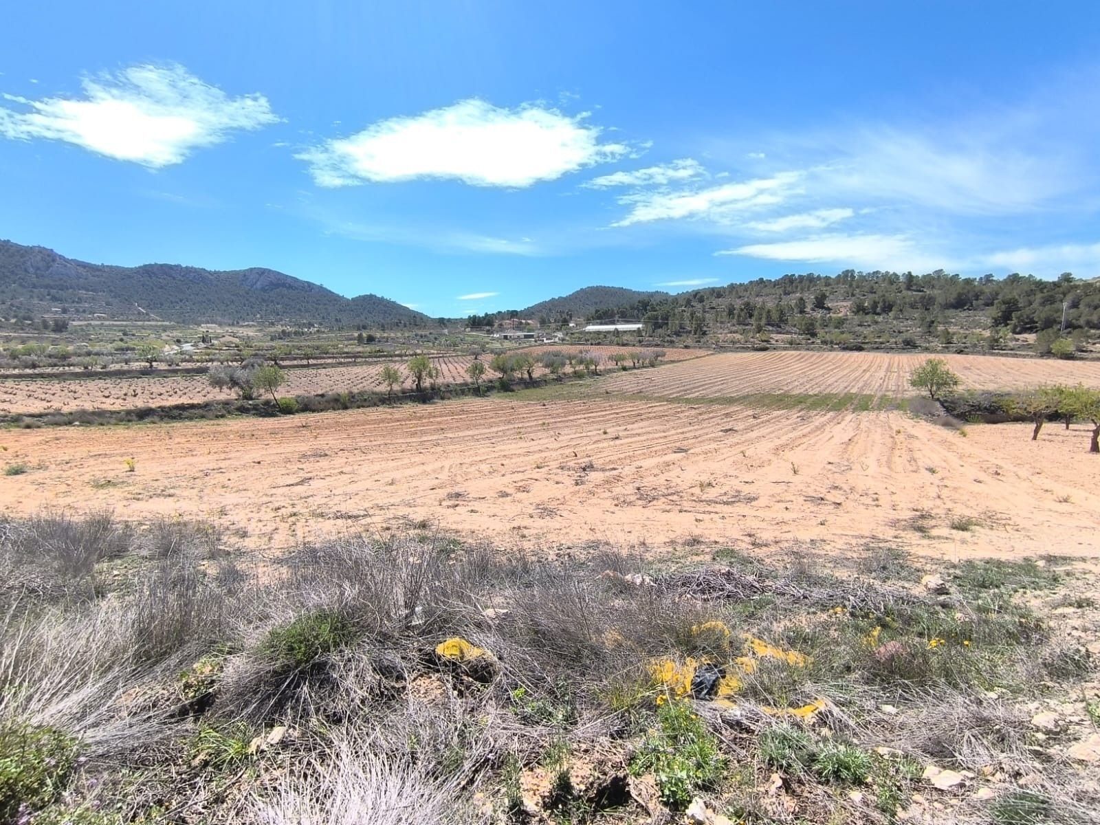 Terrain dans Jumilla, Murcia à vendre Aérien- Image 1 de 5
