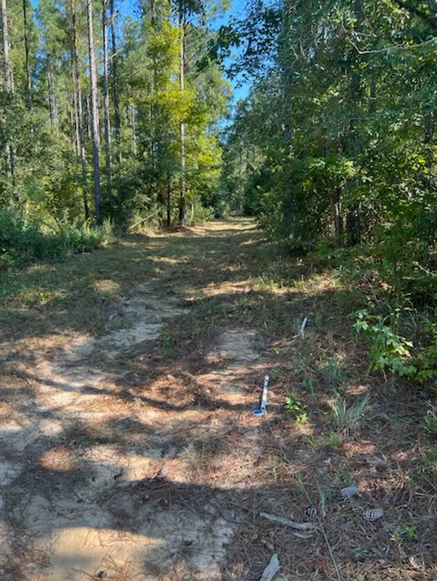 0 Downs Road, Quincy, FL for sale Primary Photo- Image 1 of 6