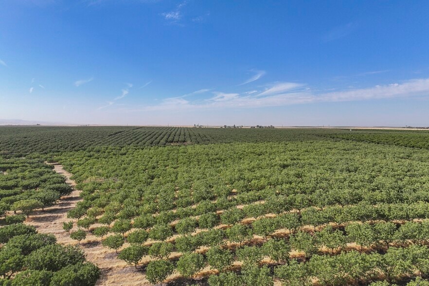 26202 Avenue 68, Terra Bella, CA for sale - Building Photo - Image 3 of 6