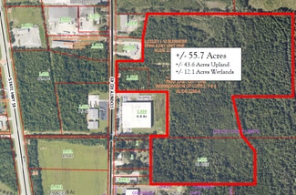 Plus de détails pour County Road 49, Loxley, AL - Terrain à vendre
