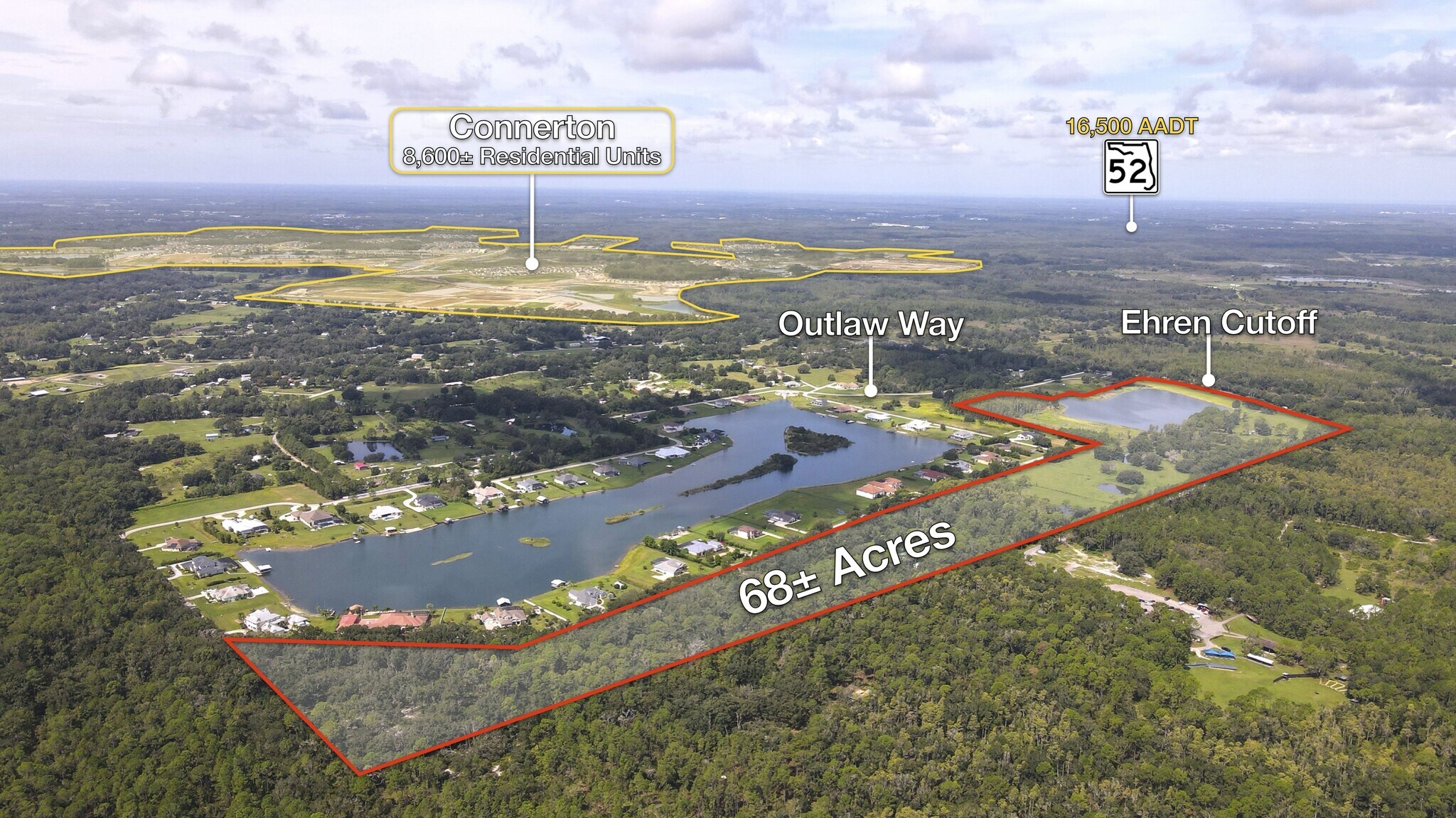 10460 Ehren Cutoff, Land O' Lakes, FL à vendre Photo principale- Image 1 de 14
