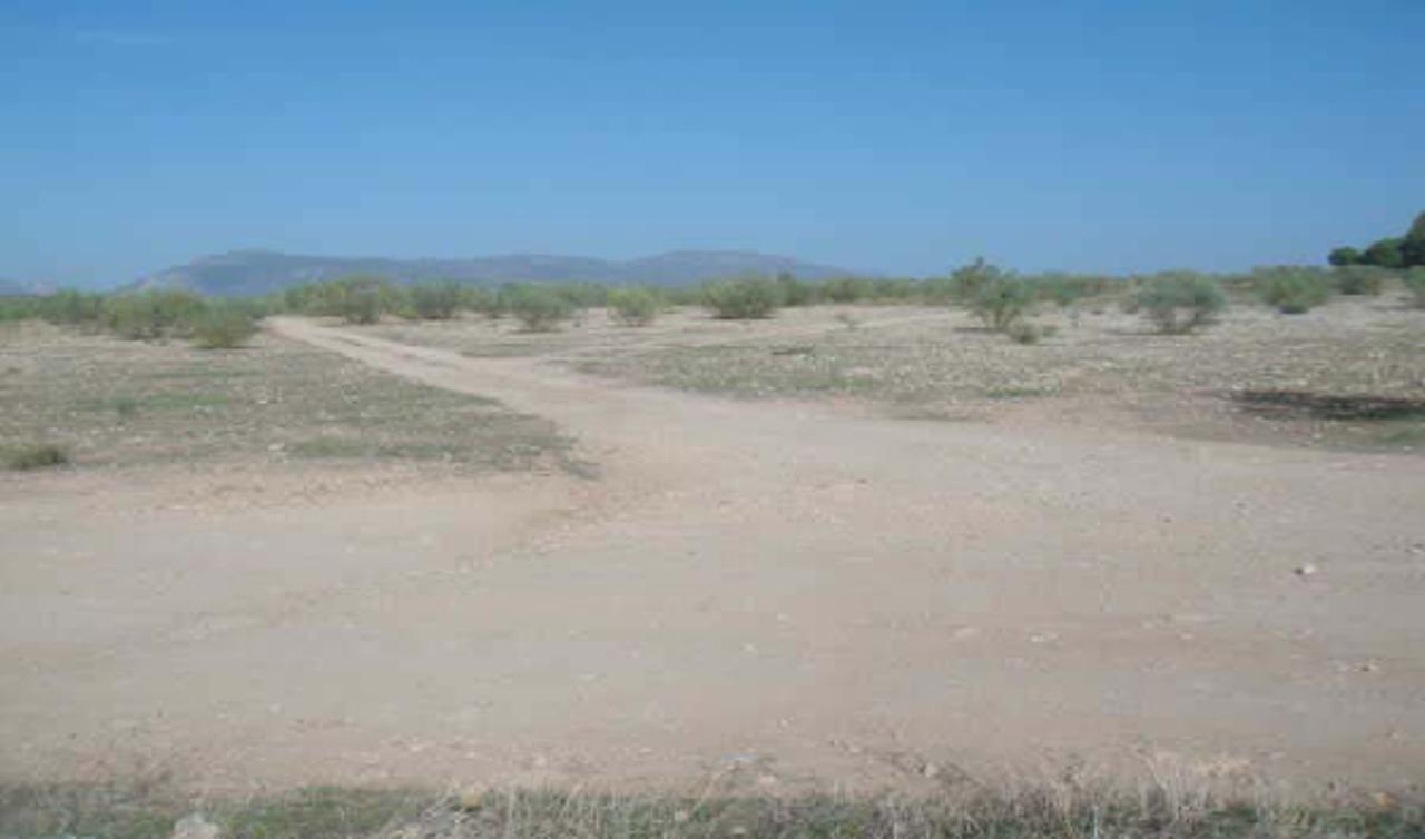 Terrain dans Atarfe, Granada à vendre Plan de site- Image 1 de 8