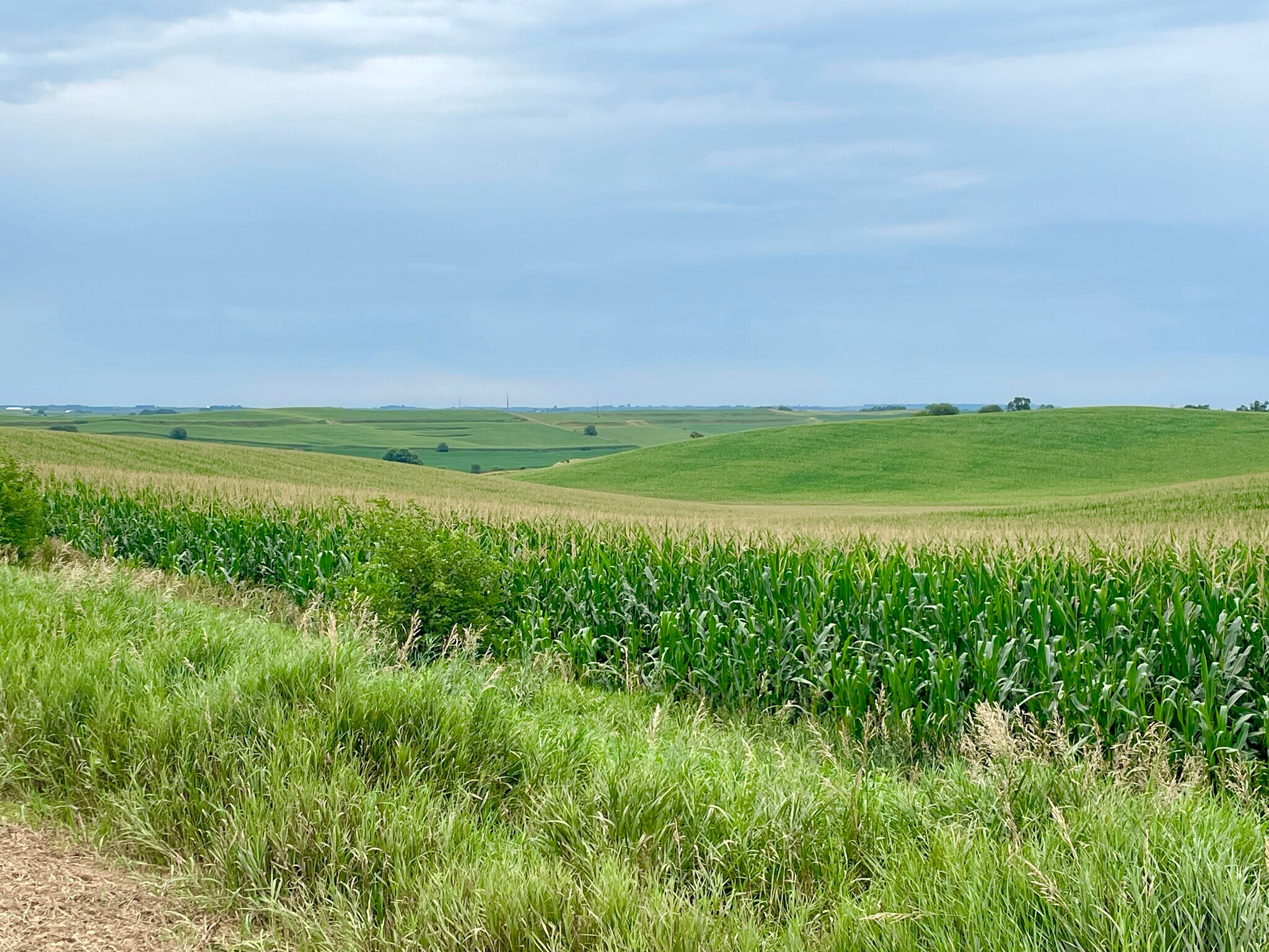 TBD Old Hwy 141, Sergeant Bluff, IA for sale Building Photo- Image 1 of 5