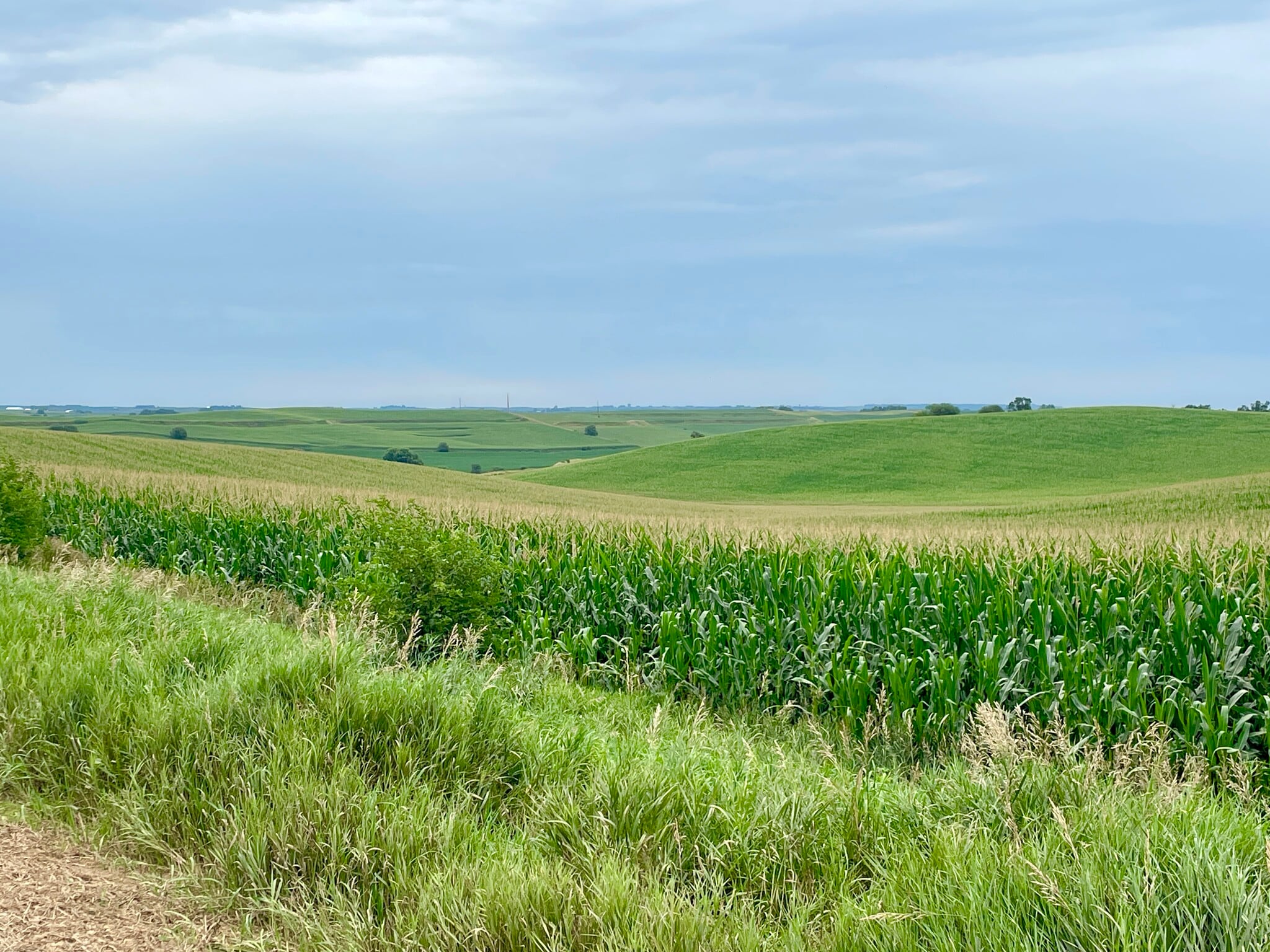 TBD Old Hwy 141, Sergeant Bluff, IA à vendre Photo du bâtiment- Image 1 de 5