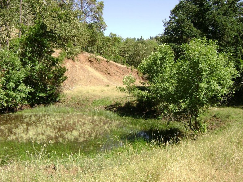 Newton Creek Rd, Roseburg, OR à vendre - Autre - Image 3 de 6