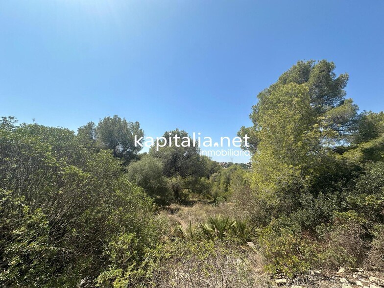 Land in Alberic, Valencia for sale - Primary Photo - Image 2 of 5