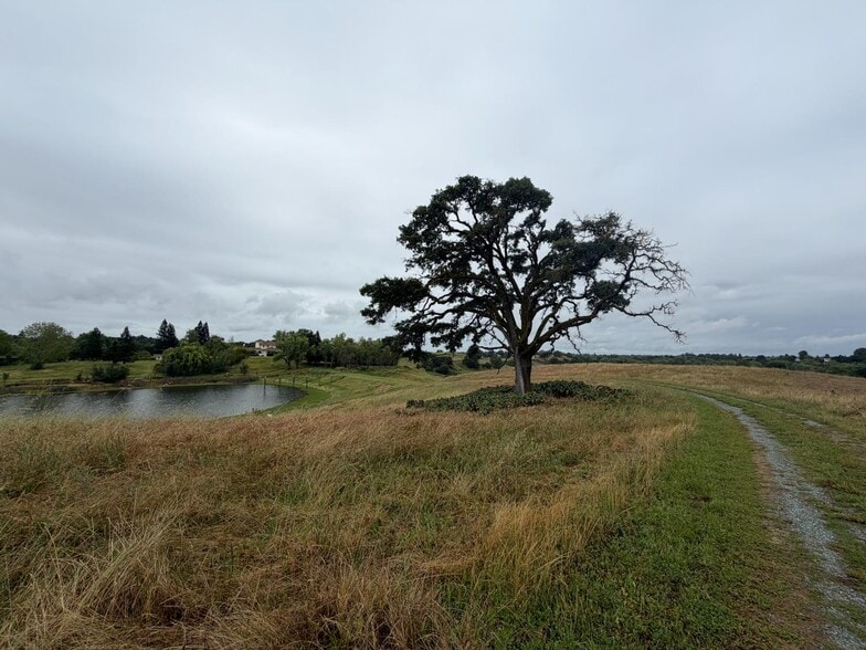 25045 Mcintire rd, Clements, CA for sale - Other - Image 3 of 6