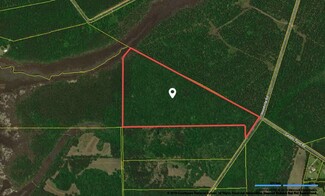 Plus de détails pour 4938 Woodville Rd, Awendaw, SC - Terrain à vendre