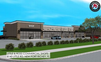 More details for 8216 Little Rd, New Port Richey, FL - Retail for Lease