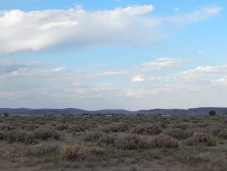 Plus de détails pour 4900 Highway 95A, Silver Springs, NV - Terrain à vendre