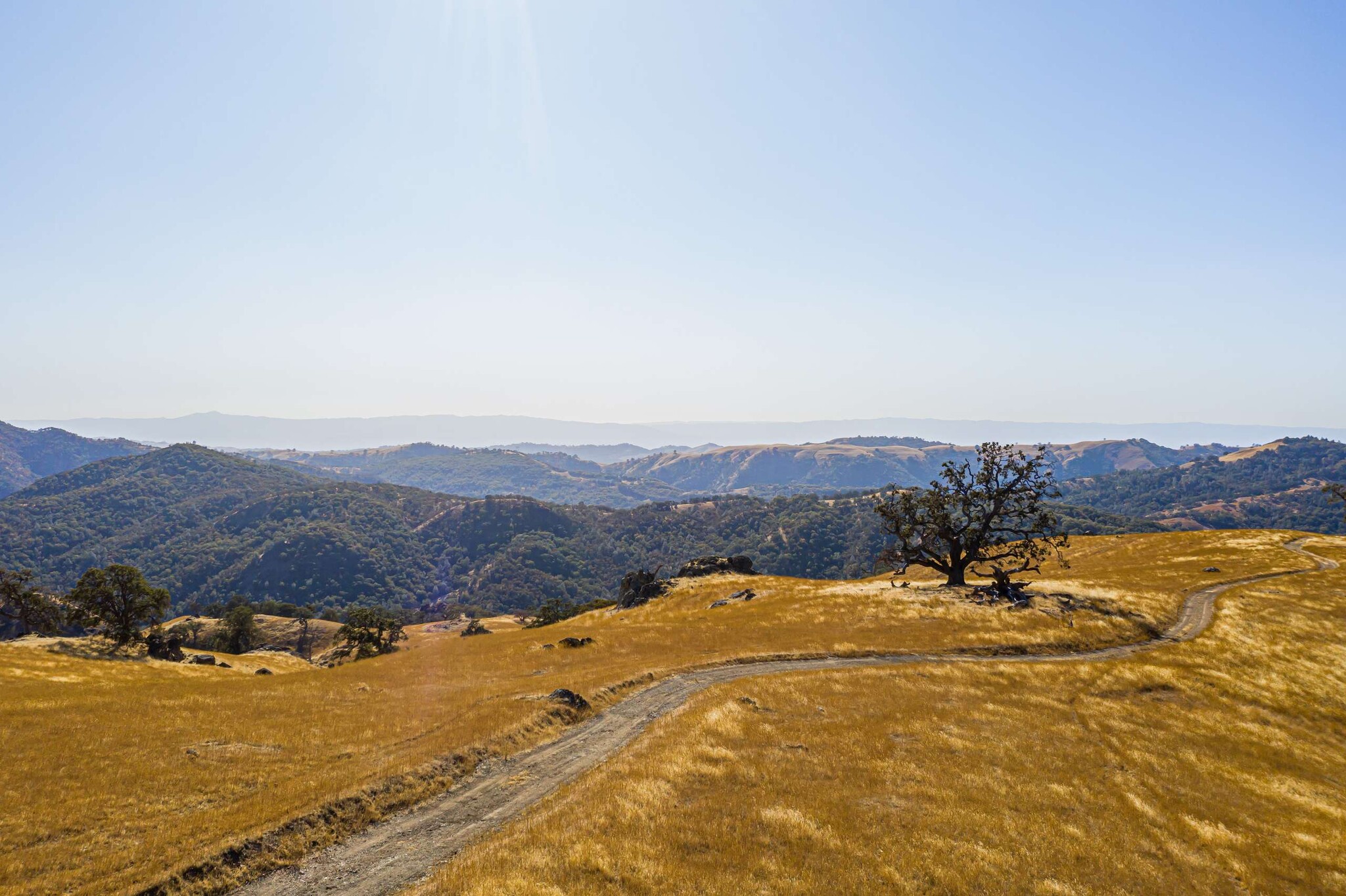 Beauregard Rd, San Jose, CA for sale Primary Photo- Image 1 of 1