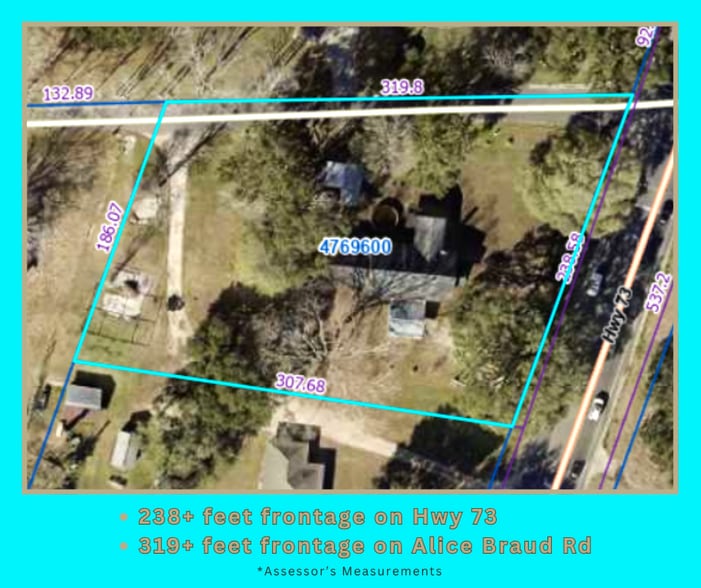 15485 Louisiana 73, Prairieville, LA for sale - Aerial - Image 1 of 1