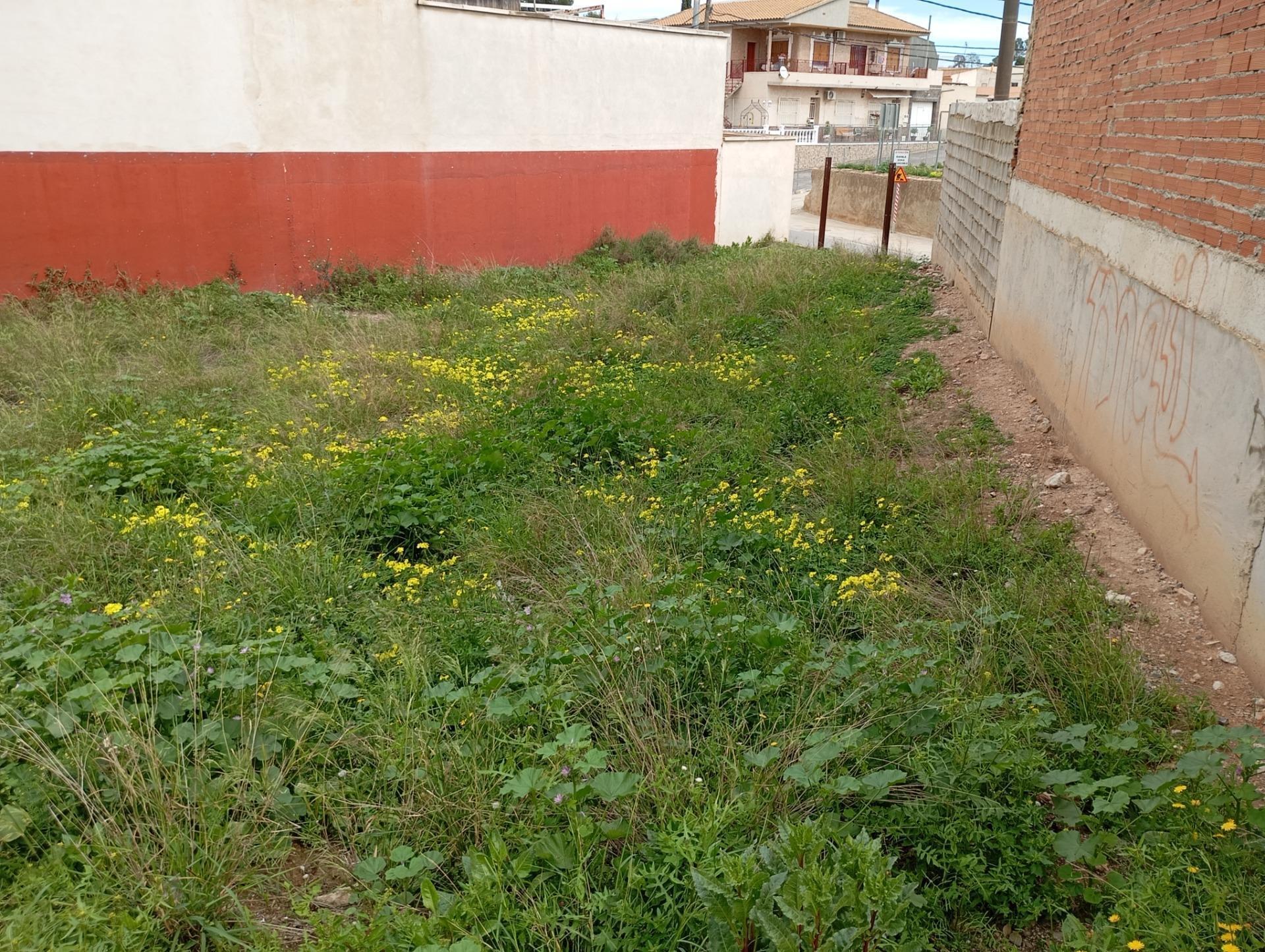 Calle de Pilar, 1, Murcia, Murcia for sale Primary Photo- Image 1 of 11