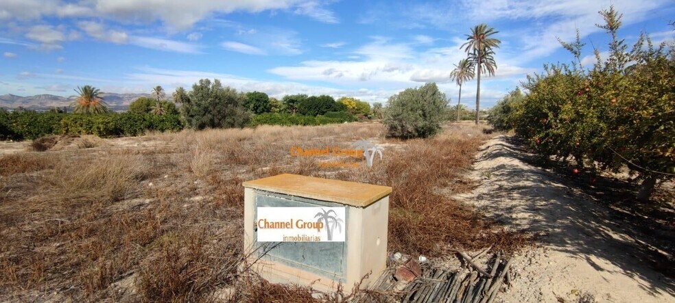 Land in Elche, Alicante for sale - Primary Photo - Image 2 of 3