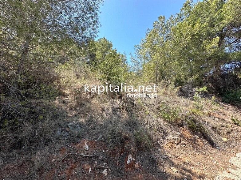 Land in Alberic, Valencia for sale - Primary Photo - Image 3 of 5