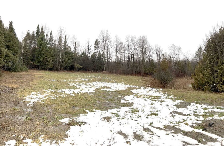 605 Highway 7, Kawartha Lakes, ON à vendre - Photo du bâtiment - Image 2 de 5