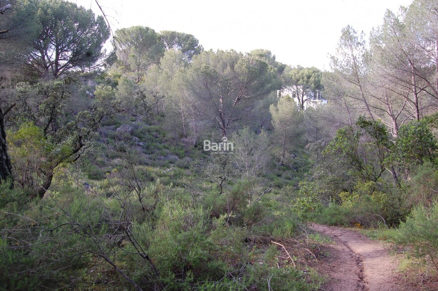 Land in Córdoba, Córdoba for sale - Primary Photo - Image 2 of 5
