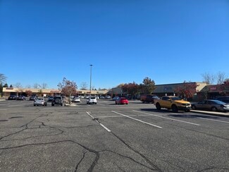 More details for 846-900 Middle Country Rd, Middle Island, Middle Island, NY - Retail for Sale