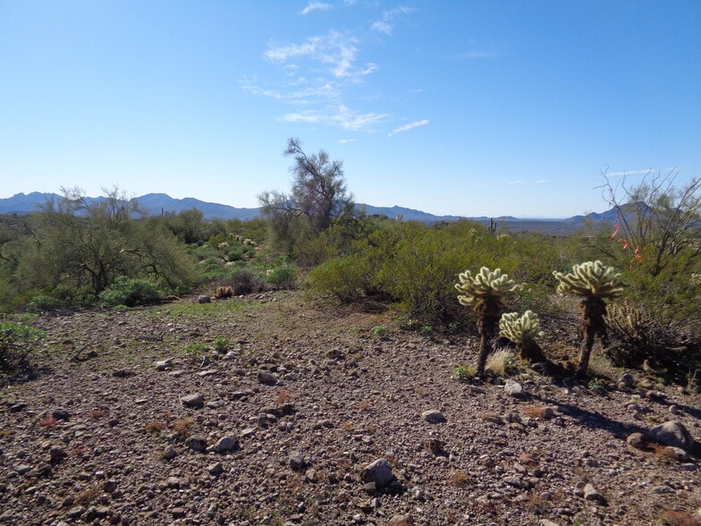 13801 N Tierra Del Oro, Fort Mcdowell, AZ for sale - Other - Image 3 of 12