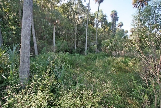 Isle of St. Johns, Georgetown, FL for sale - Building Photo - Image 3 of 50