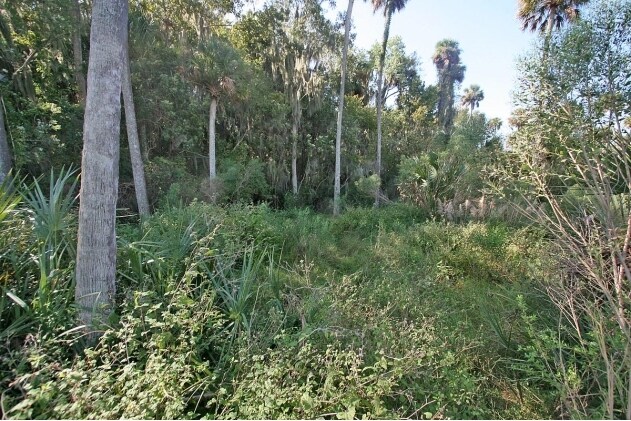 Isle of St. Johns, Georgetown, FL à vendre - Photo du bâtiment - Image 3 de 50