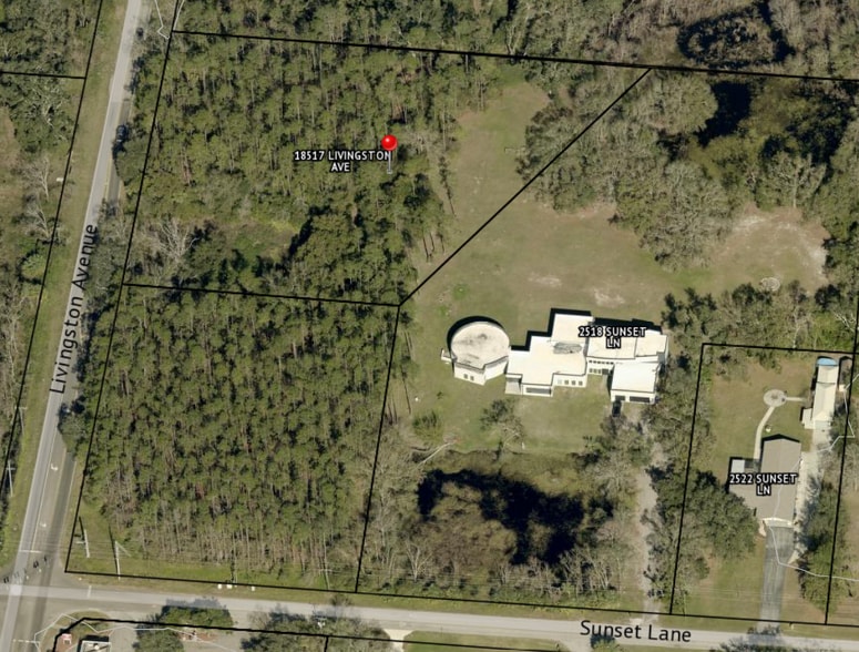18517 Livingston Ave, Lutz, FL for sale - Building Photo - Image 3 of 4