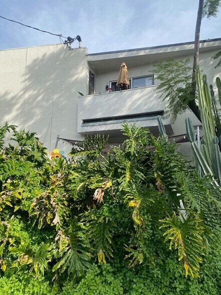 2038 Holly Dr, Los Angeles, CA à vendre - Photo du bâtiment - Image 3 de 4