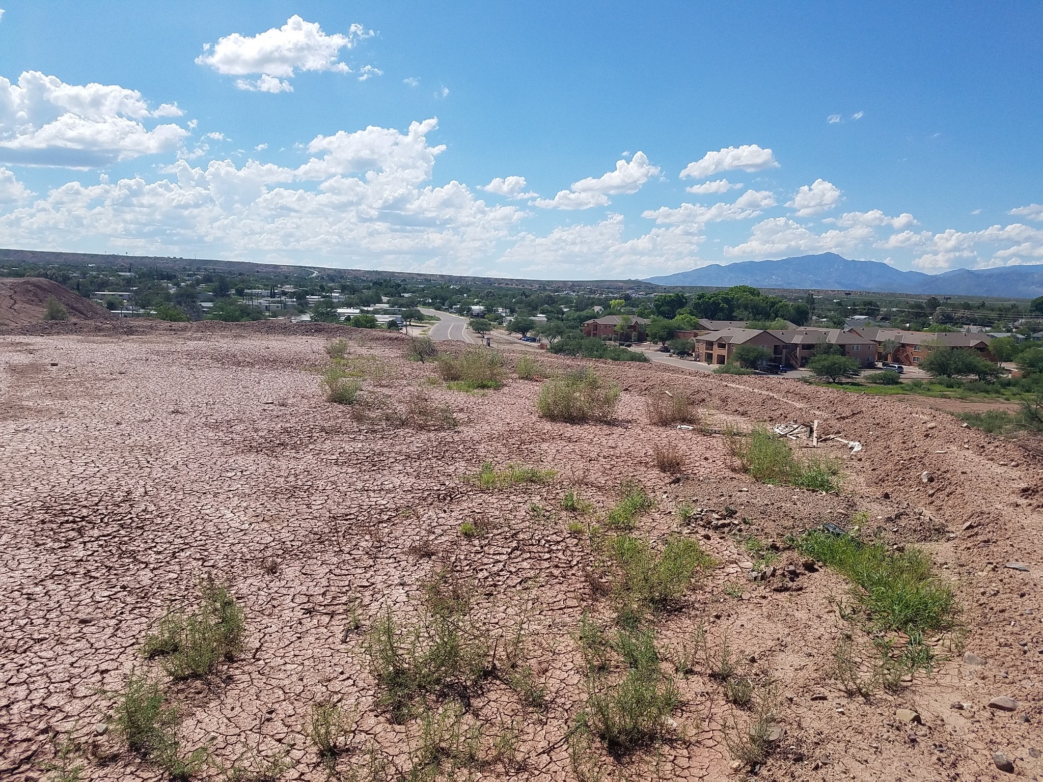 253 N Shupe Dr, Benson, AZ for sale Primary Photo- Image 1 of 1