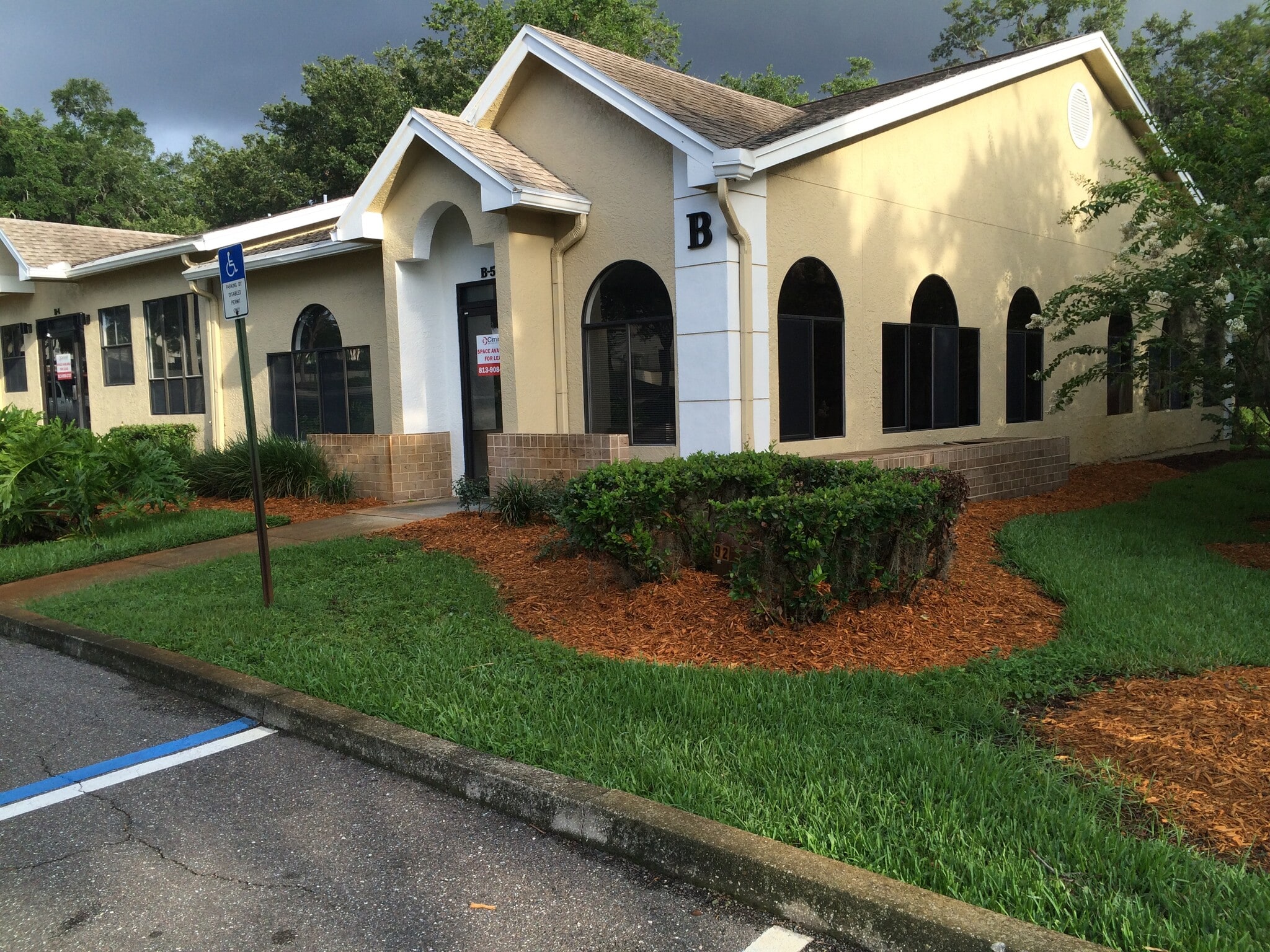 1700 McMullen Booth Rd, Clearwater, FL for lease Building Photo- Image 1 of 4
