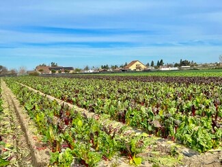 More details for 320 Riverside Rd, Hollister, CA - Land for Sale