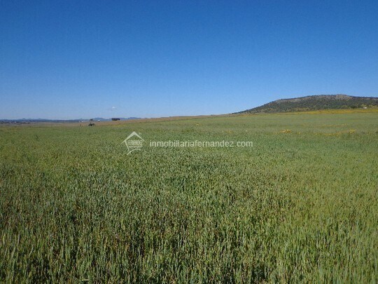 Terrain dans Sierra de Fuentes, Cáceres à vendre - Aérien - Image 2 de 3