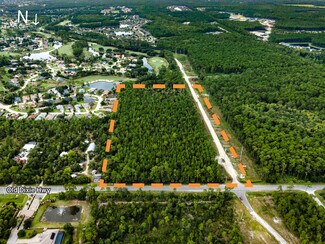 Plus de détails pour 0 Old Dixie Highway, Bunnell, FL - Terrain à vendre