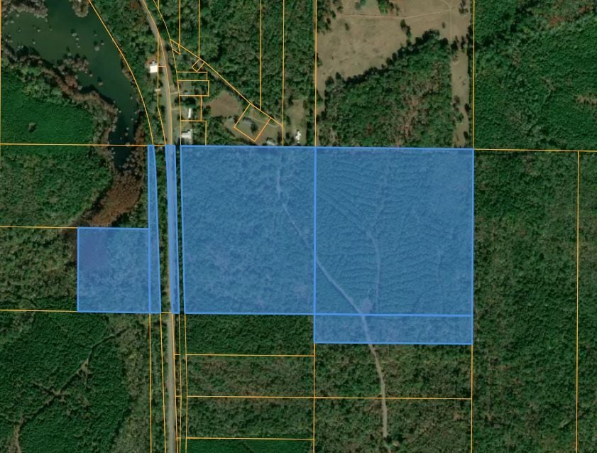 Mira Levee and Hwy 71, Mira, LA for sale Primary Photo- Image 1 of 11