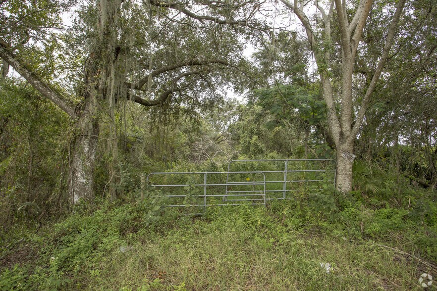 SW Hwy 17, Arcadia, FL à vendre - Photo du bâtiment - Image 2 de 9