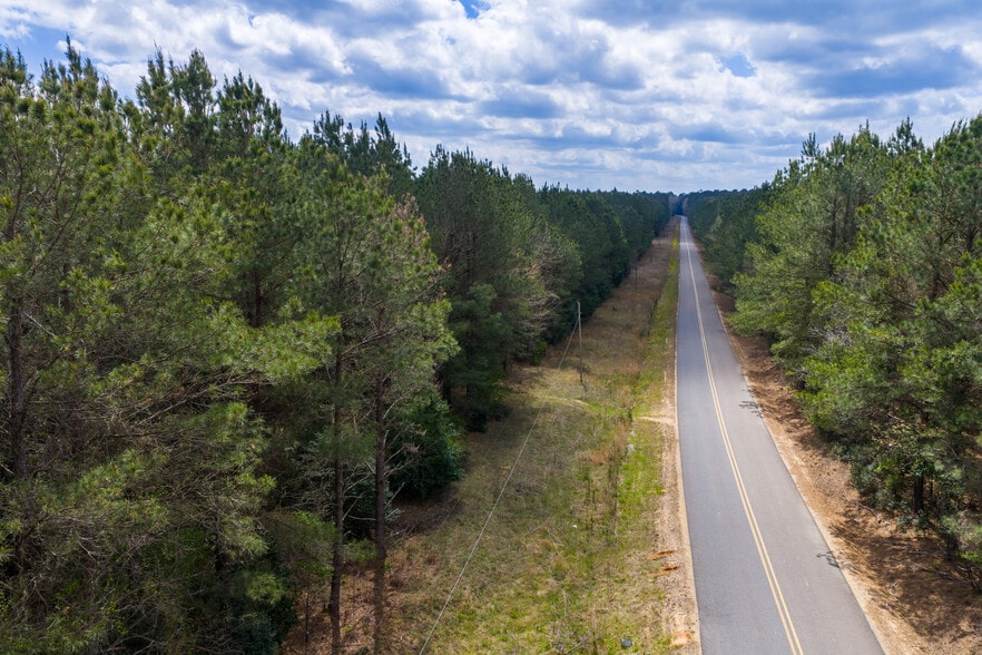 HWY 7, Mount Holly, AR à vendre - Photo principale - Image 1 de 16