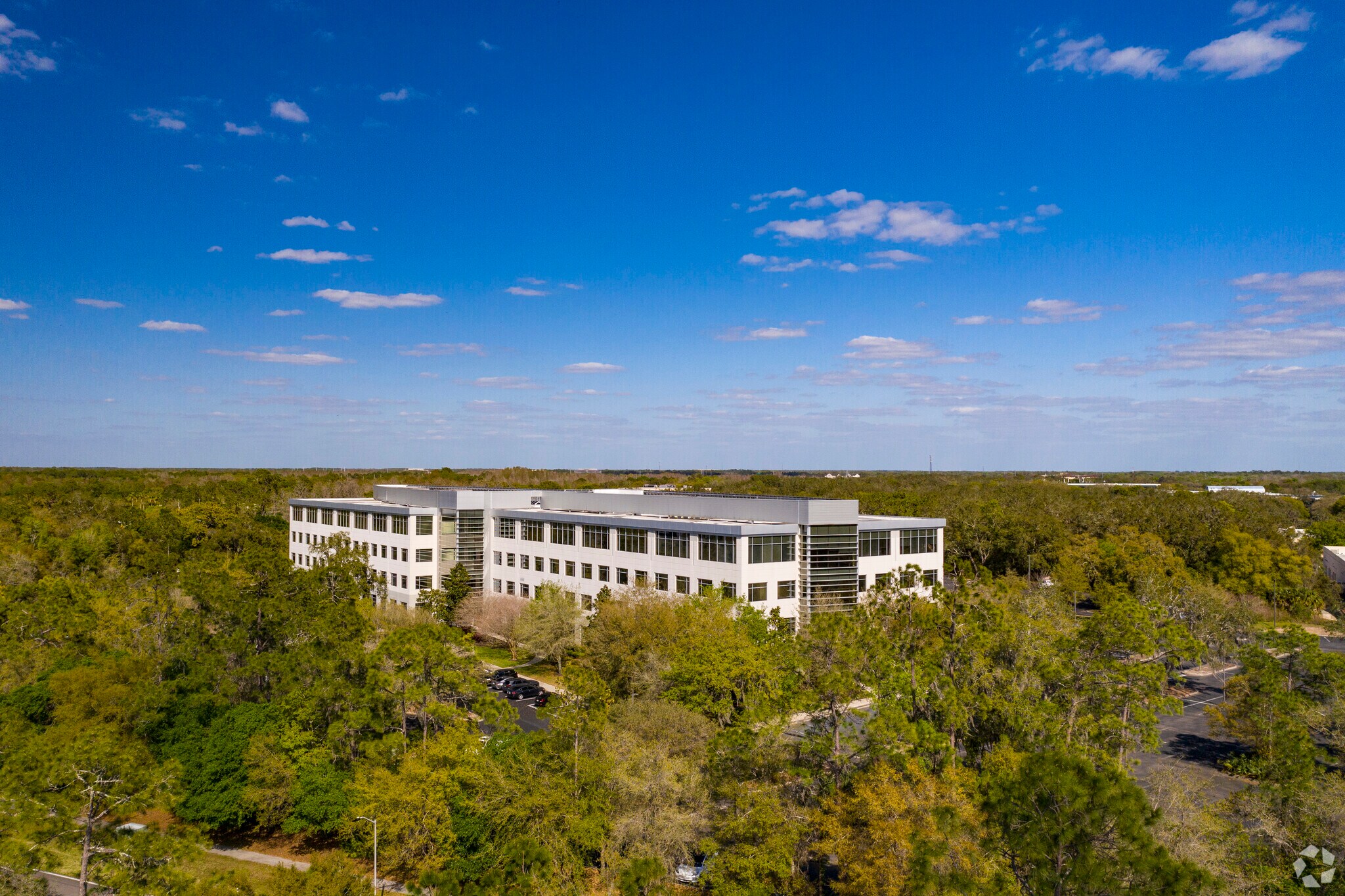 12653 Telecom Dr, Tampa, FL for lease Building Photo- Image 1 of 4