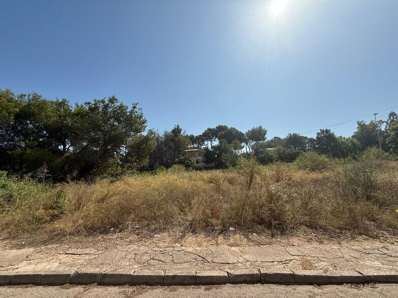 Land in Alberic, Valencia for sale - Primary Photo - Image 2 of 8