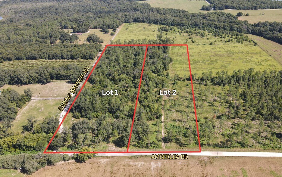 Amberlea Rd, Dade City, FL à vendre - Aérien - Image 3 de 11