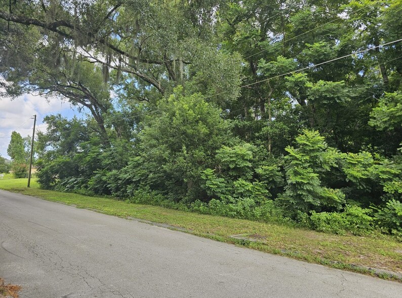 N Carpenter Ave, Orange City, FL à vendre - Autre - Image 2 de 2