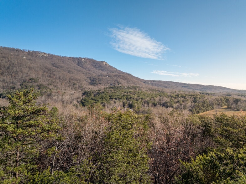 00 Pittman Rd, Landrum, SC for sale - Building Photo - Image 3 of 25