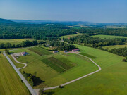 Broad Mountain Vineyard and Events Venue - Vignoble