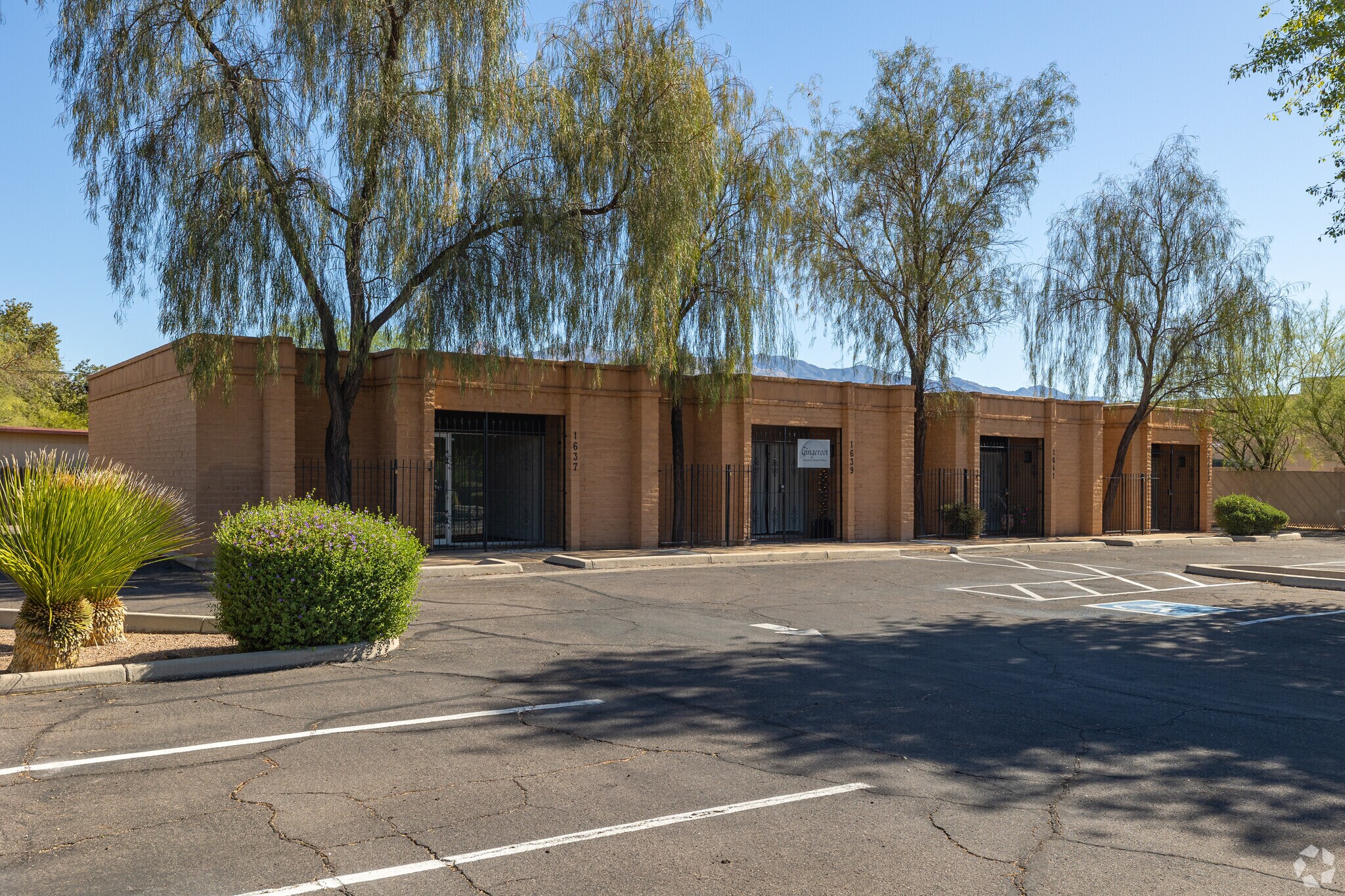 1637-1643 E Prince Rd, Tucson, AZ à louer Photo principale- Image 1 de 13