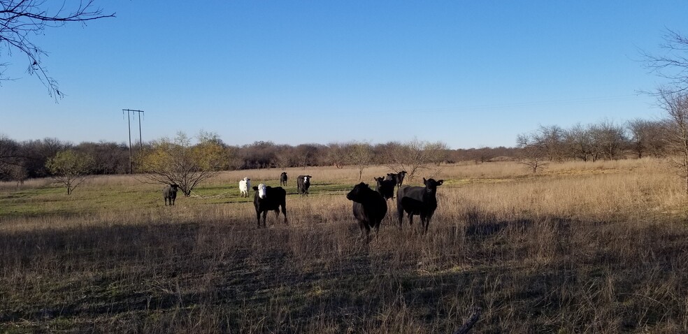 Highway 56, Southmayd, TX à vendre - Photo du bâtiment - Image 3 de 7