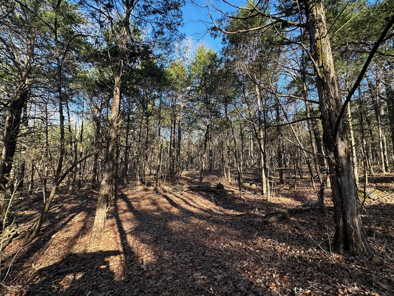 2299 Lone Star Rd, Upton, KY for sale - Primary Photo - Image 1 of 28