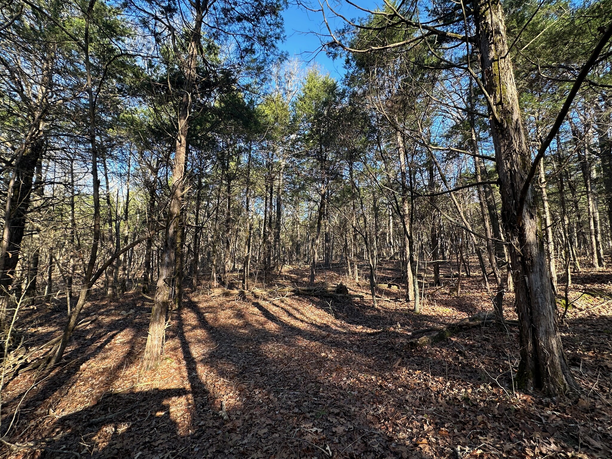 2299 Lone Star Rd, Upton, KY for sale Primary Photo- Image 1 of 29