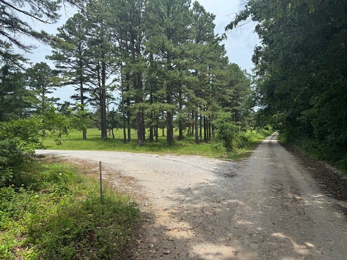 3309 NC 421, Marble Falls, AR à vendre - Photo du bâtiment - Image 1 de 22