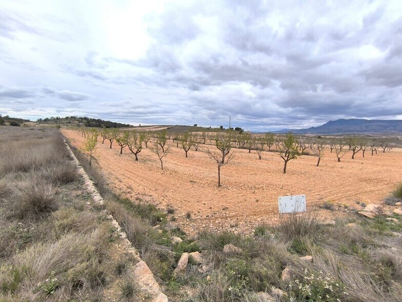 Terrain dans Yecla, Murcia à vendre - Aérien - Image 1 de 3
