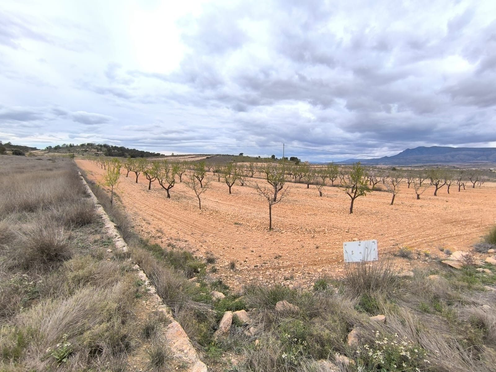 Terrain dans Yecla, Murcia à vendre Aérien- Image 1 de 4
